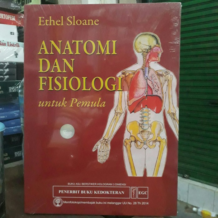 Anatomi dan Fisiologi